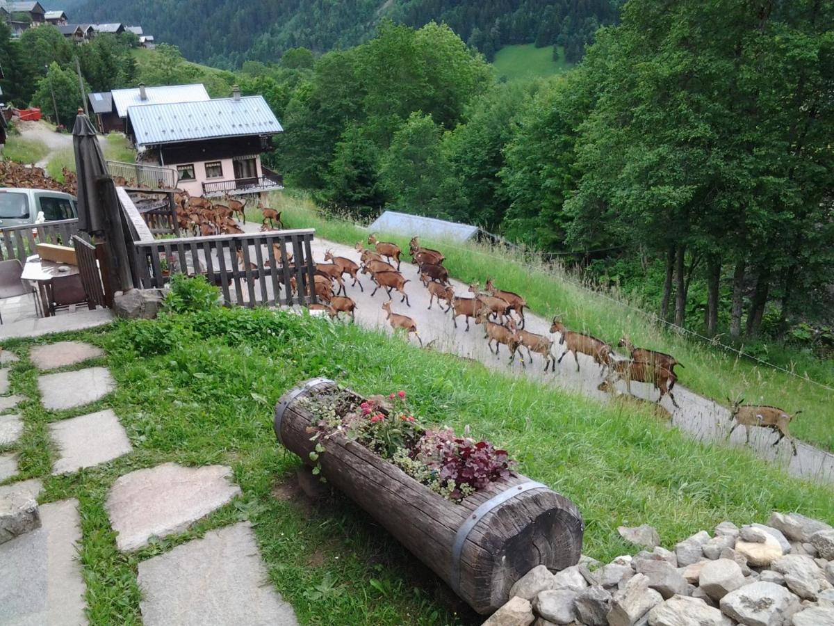 Villa Le Refuge des Marmottes Arêches Exterior foto